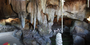 BioParc Valencia, valencia spain, валенсия испания