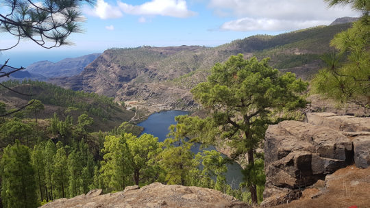 gran canaria, гран канария остров, канарские острова