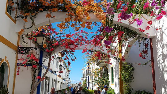 gran canaria, гран канария остров, канарские острова