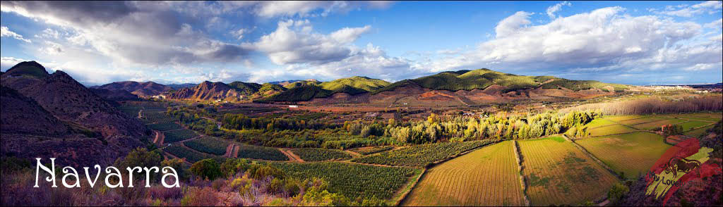 navarra, Наарра, регион Наварра