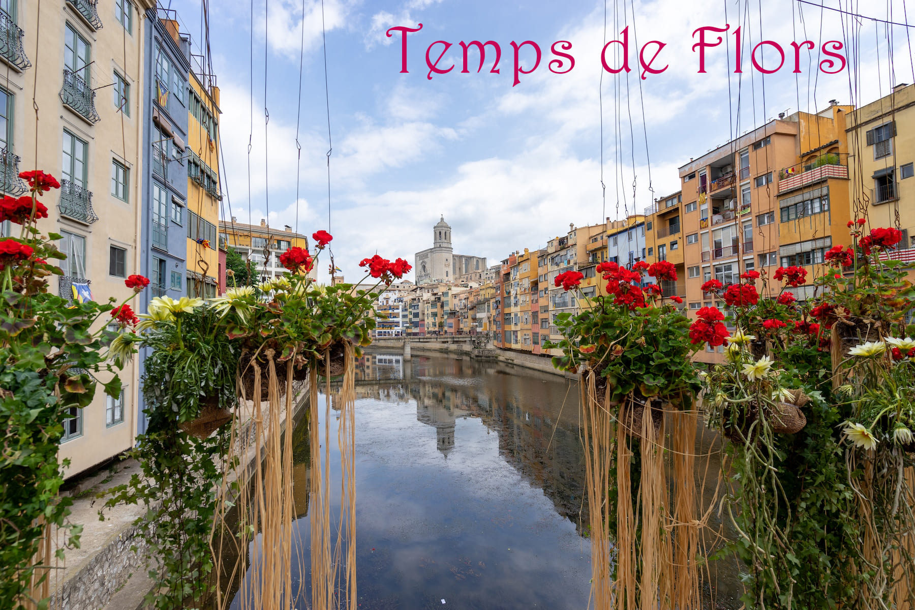 temps de flors, время цветов фестиваль