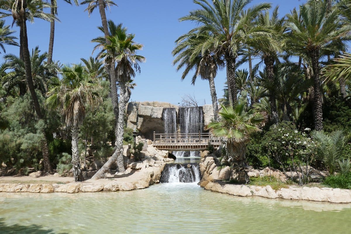 el-palmeral