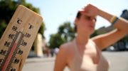 Жара погубила 4,6 тыс. человек в Испании